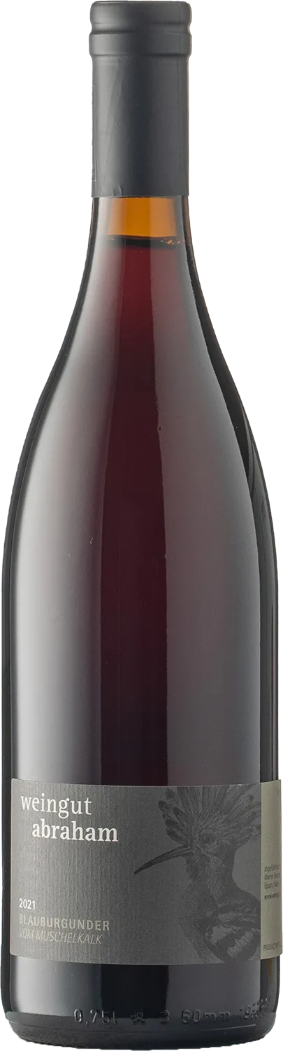 Blauburgunder vom Muschelkalk