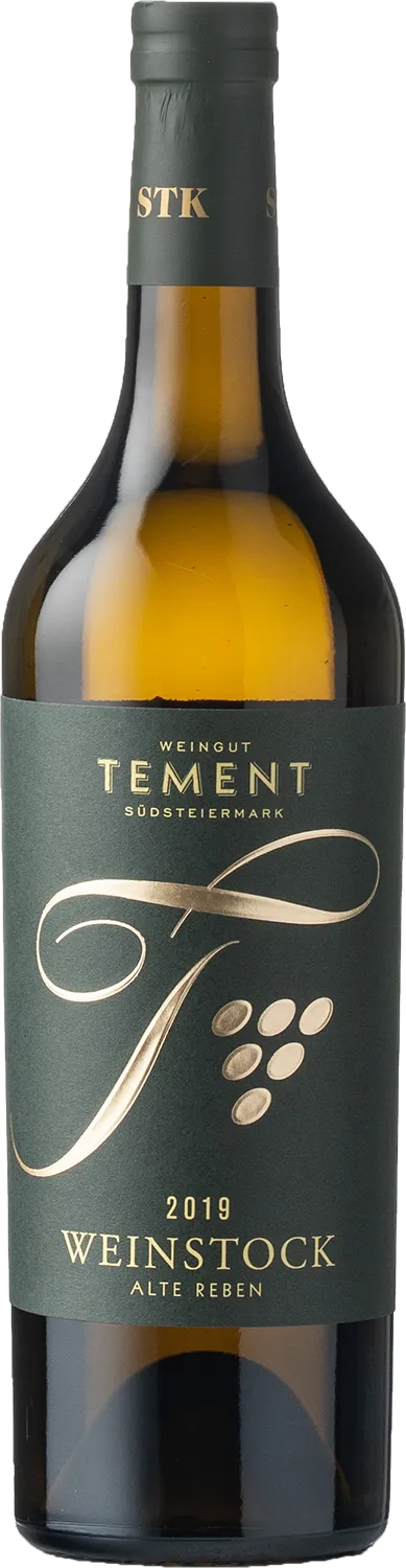 Welschriesling Weinstock Alte Reben