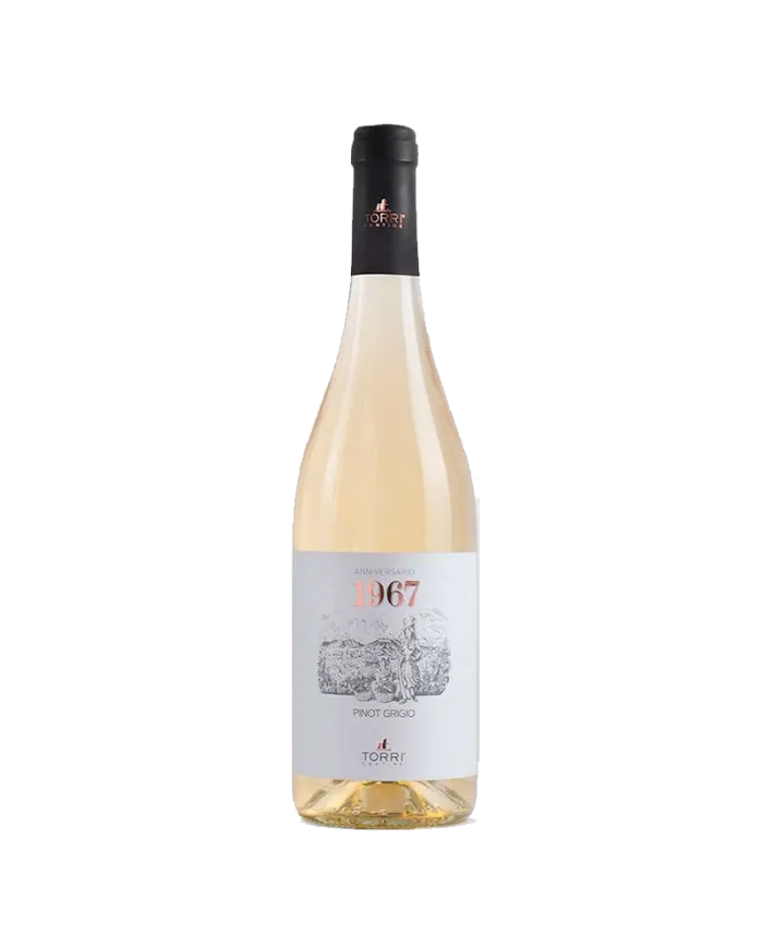 1967 Pinot Grigio IGT 2021 - Cantine Torri