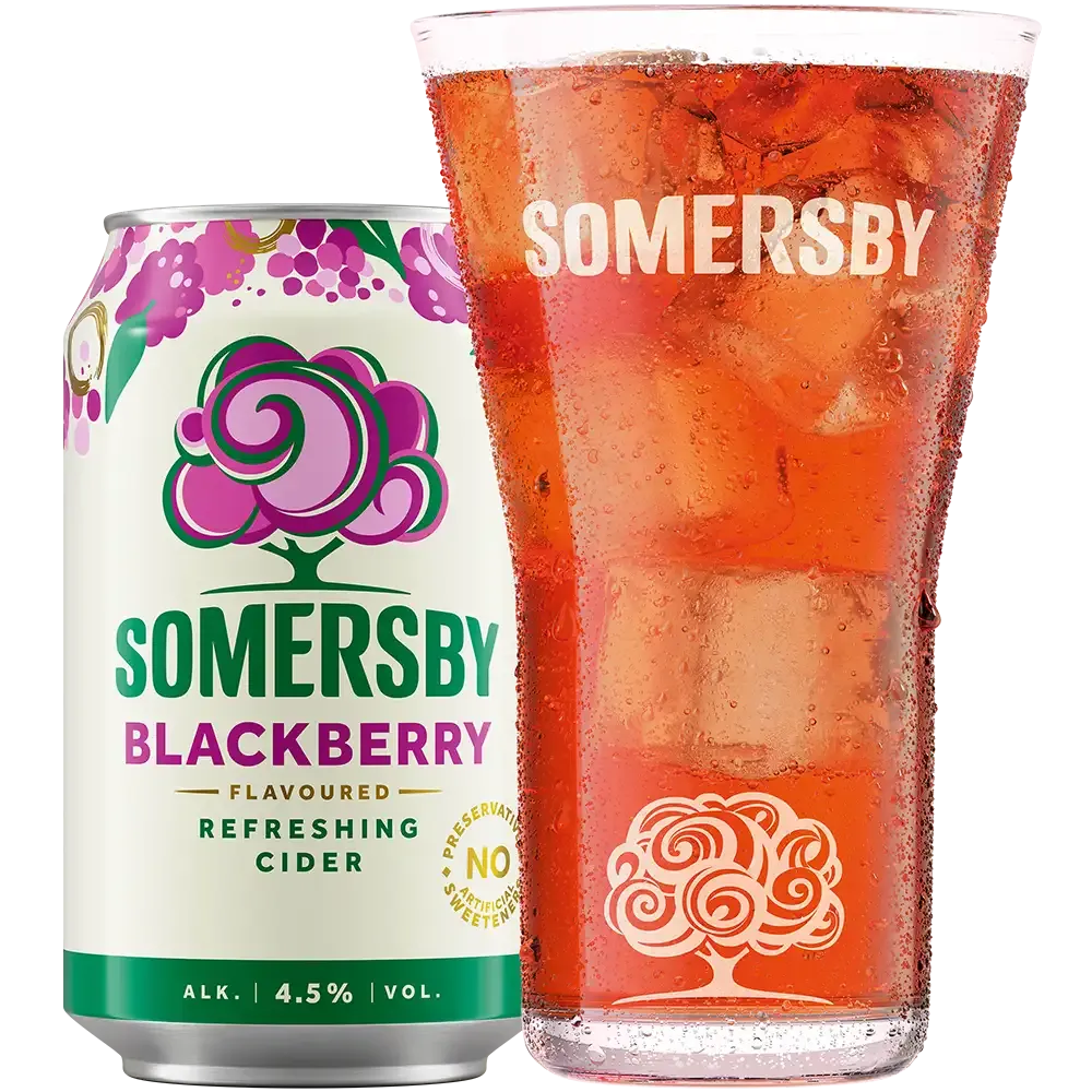 Somersby Blackberry 4,5% TRAY 20x 0,33L DS zzgl. DPG Pfand