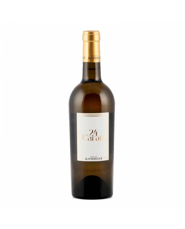 24 Carati Bianco - Tenuta Antonini