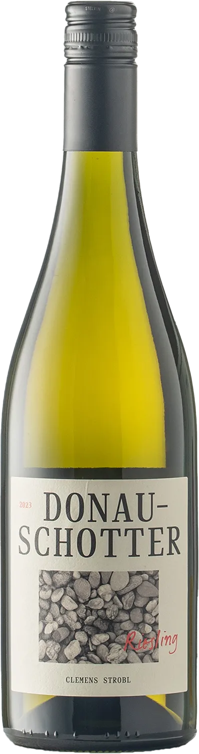 Riesling Donauschotter