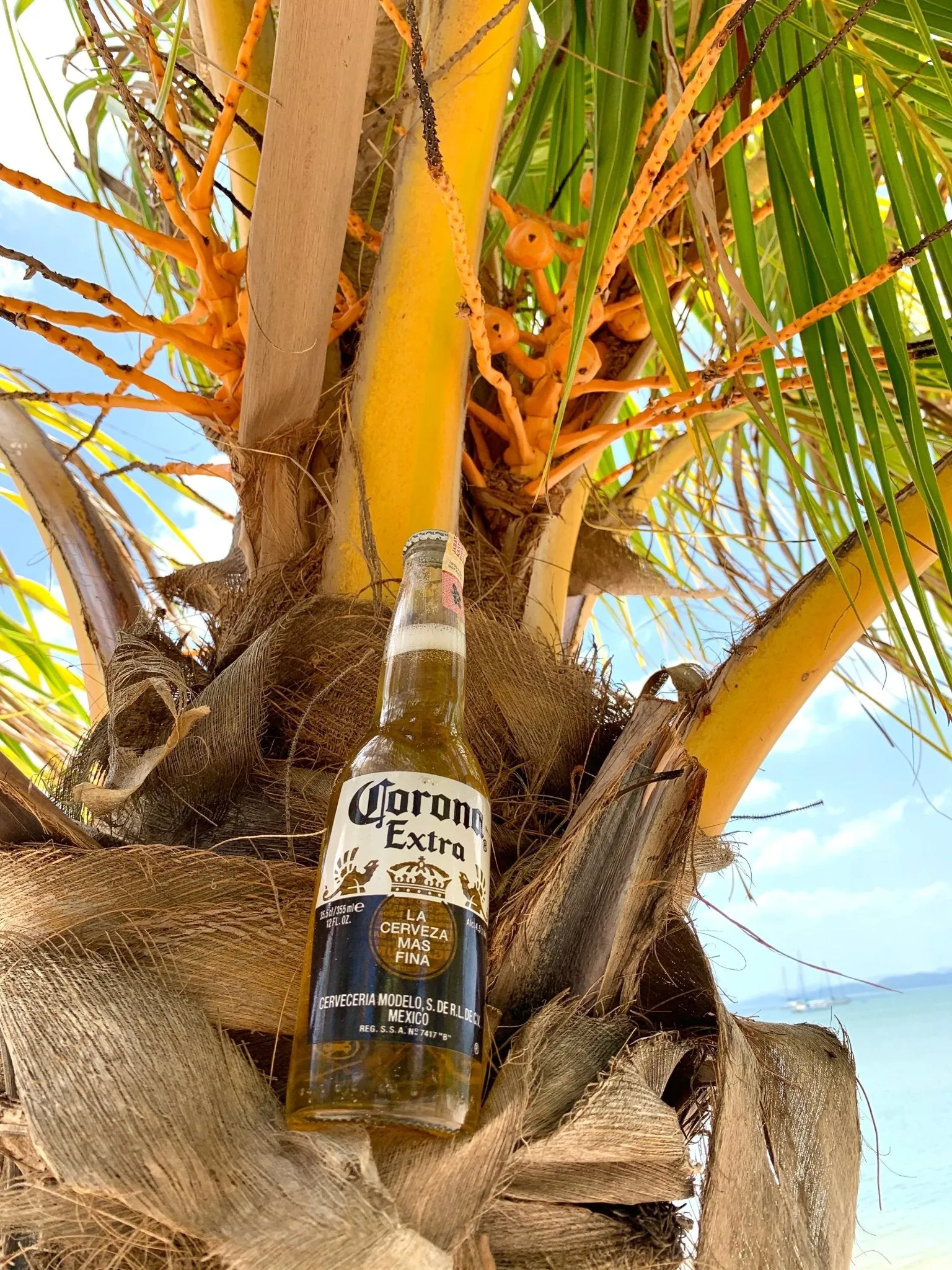 Corona Extra 0,35l - der erfrischende Klassiker aus Mexico mit 4,7% Vol.