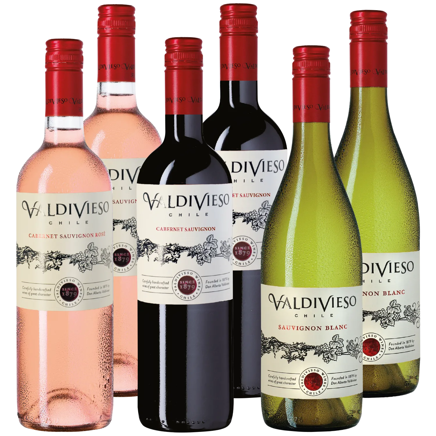 "Chilenische Weinampel" 3x2 Weine der Viña Valdivieso