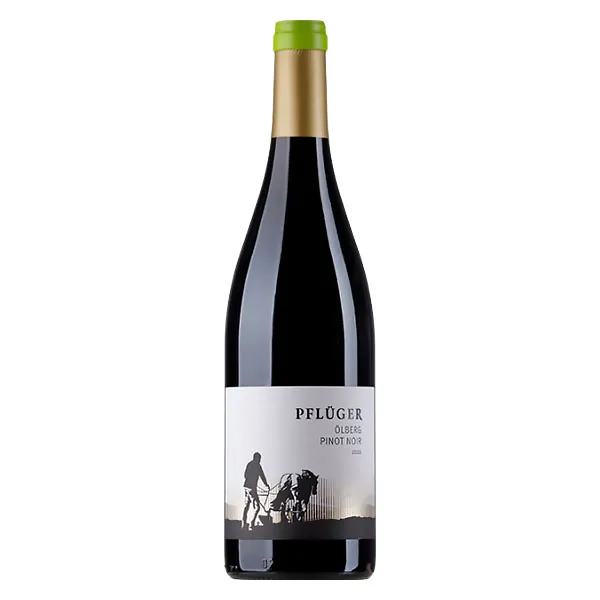 Weingut Pflüger Ölberg Pinot Noir trocken BIO 0,75L
