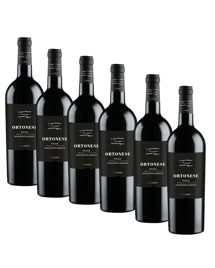6 Bottiglie Caldora Ortonese Sangiovese Merlot Puglia IGT 2021 - Fantini Farnese