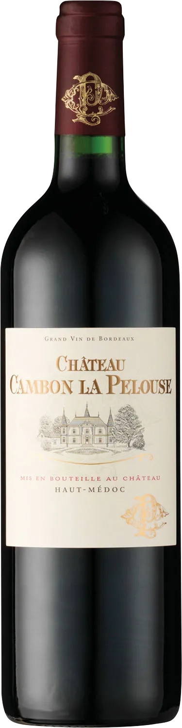 2011 Bordeauxchâteau Begadan Château Cambon La Pelousse