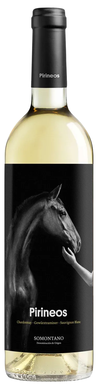 2021 Bodega Pirineos "Black Horse" Blanco Somontano D.O.
