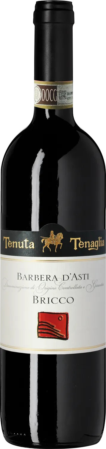 2016 Tenuta Tenaglia Barbera d'Asti DOCG "Bricco"