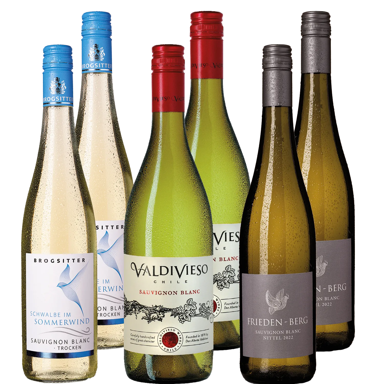 Probierpaket "Sauvignon Blanc"