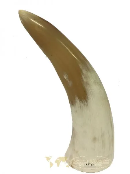 Trinkhörner echtes Horn 0,1 Liter 1 Stück