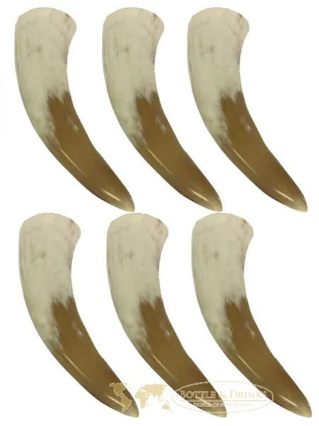 Behn Trinkhörner 0,2 Liter 6 Stück