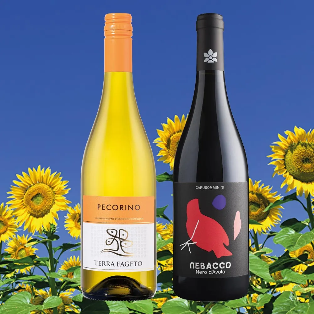 Sommerweine rot/weiss 2025 (2 x 6 Fl.) - frei Haus