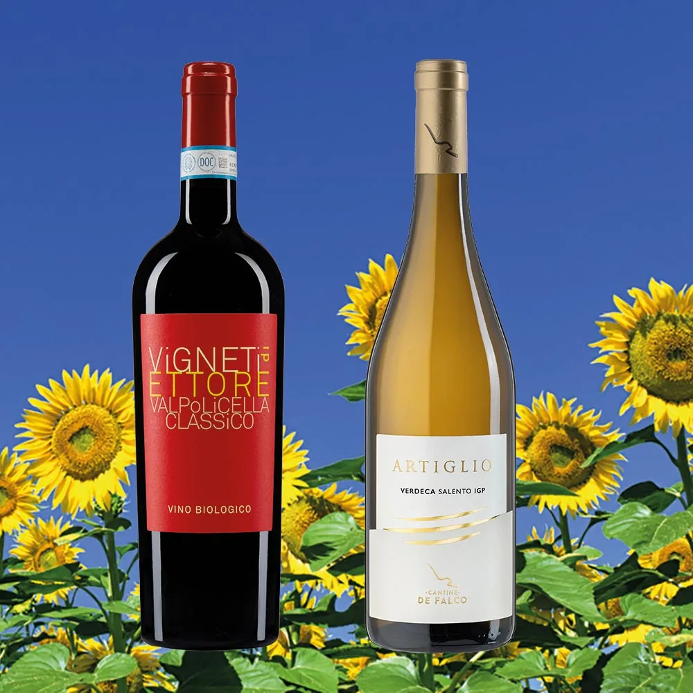 Weine zum Sommerausklang 2024 (12 Fl.) - frei Haus