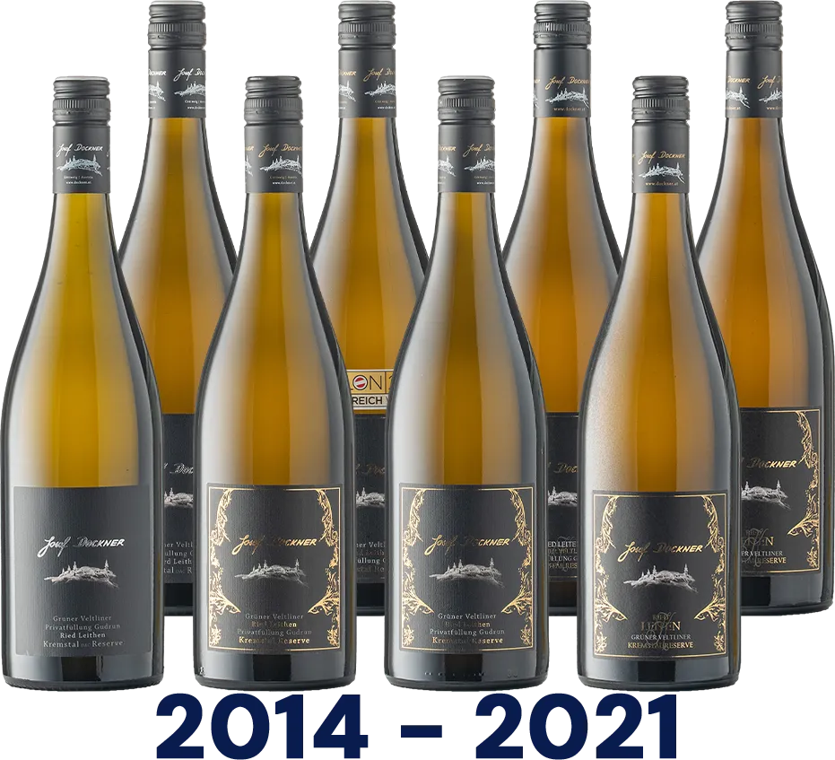 Vertikale: Grüner Veltliner Ried Leiten