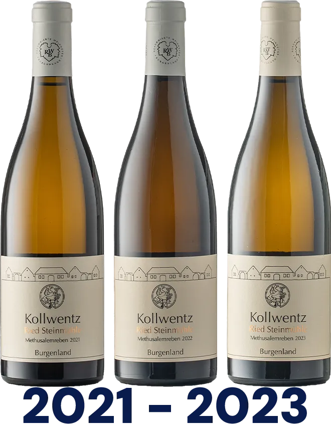 Vertikale: Sauvignon Blanc Ried Steinmühle Methusalemreben
