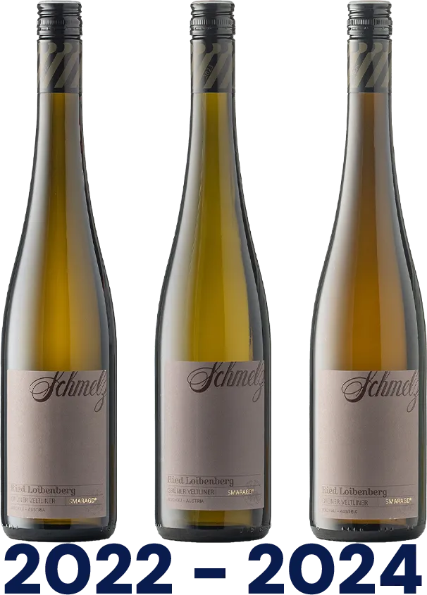 Vertikale: Grüner Veltliner Ried Loibenberg Smaragd