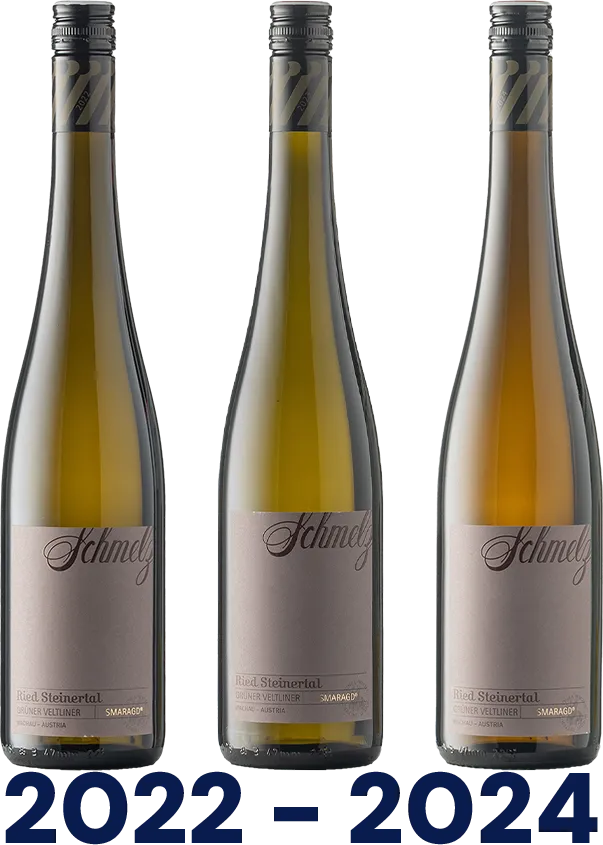 Vertikale: Grüner Veltliner Ried Steinertal Smaragd