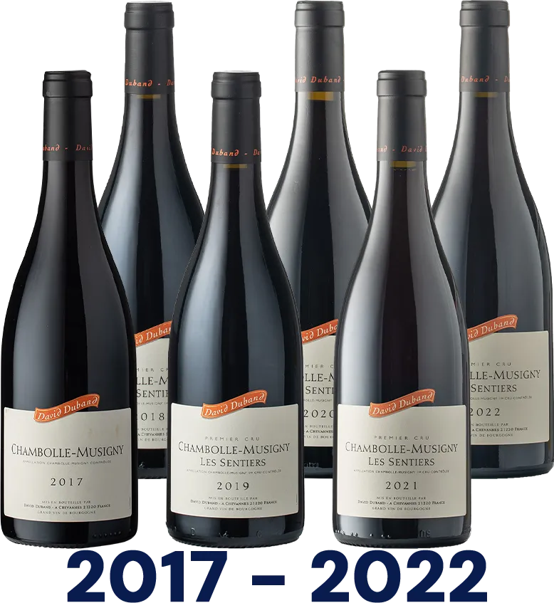 Chambolle-Musigny Vertikale: Les Sentiers 1er Cru