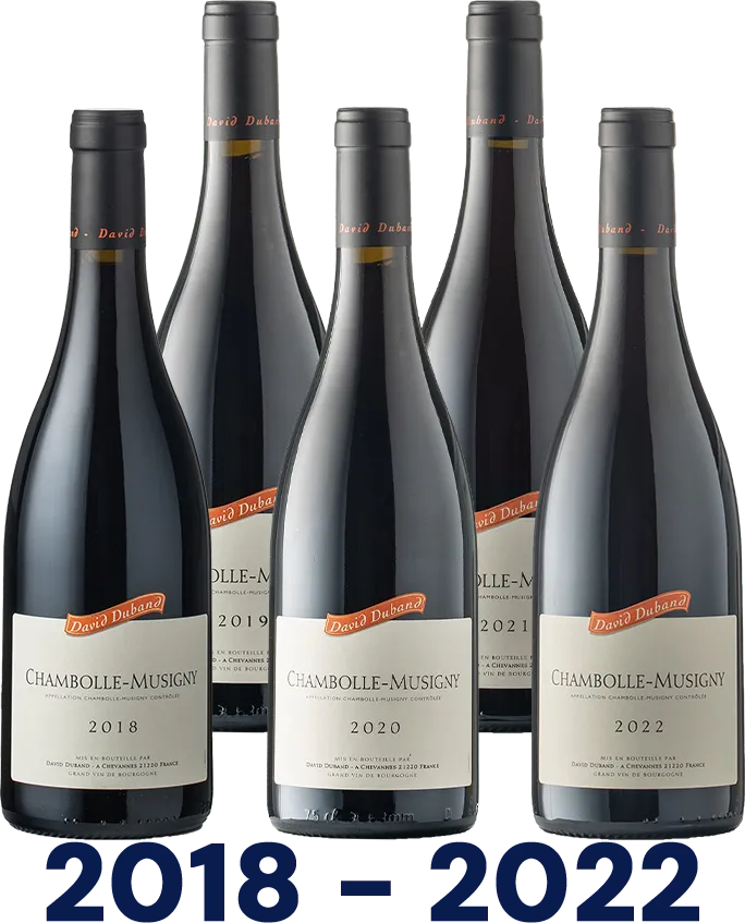 Chambolle-Musigny Vertikale: AOC