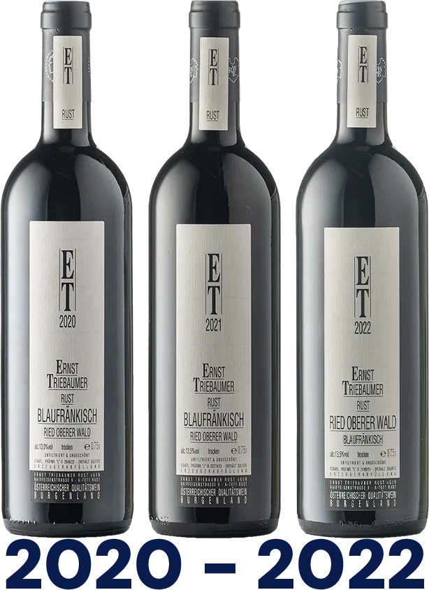 Vertikale: Blaufränkisch Ried Oberer Wald