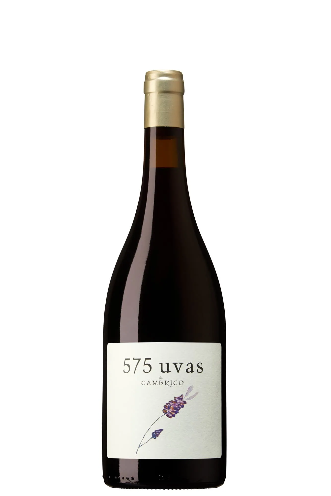 Viñas del Cámbrico, 575 Uvas 2020 Bio