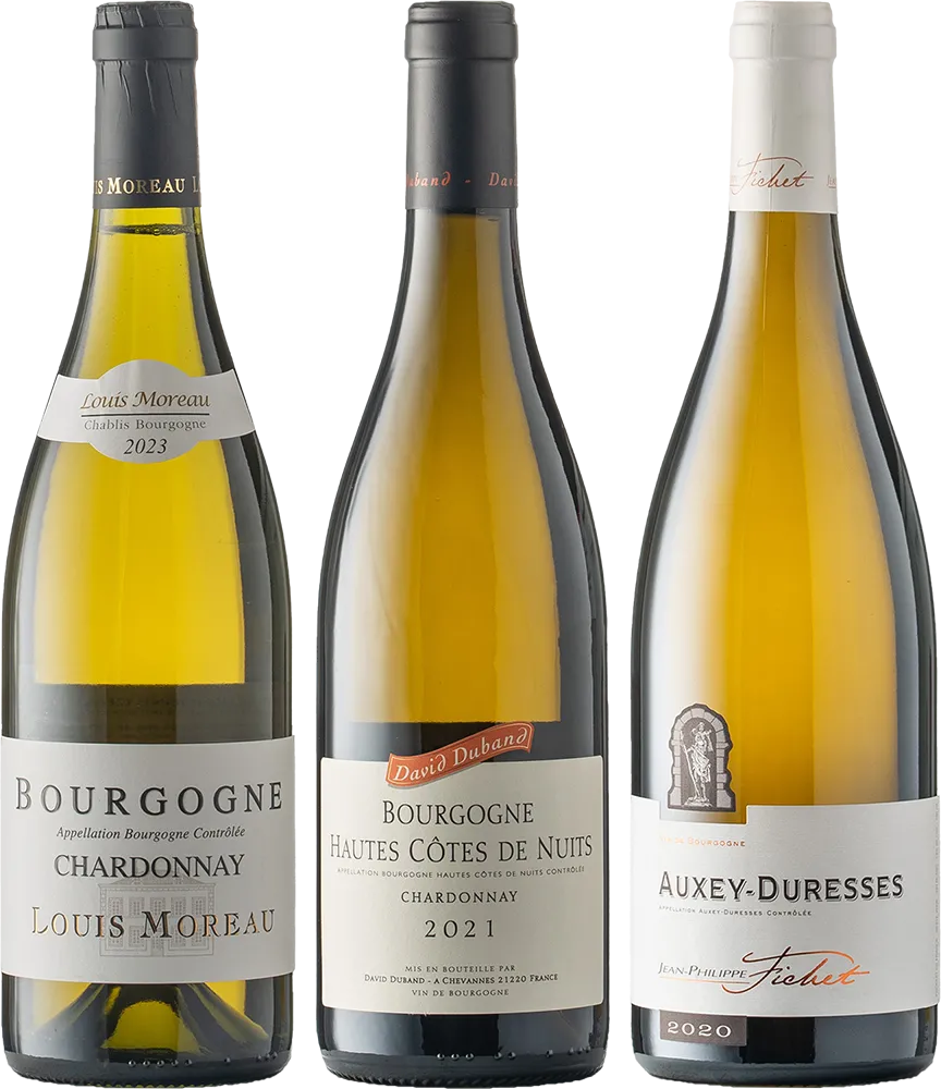 Weinset: Chardonnay Burgund