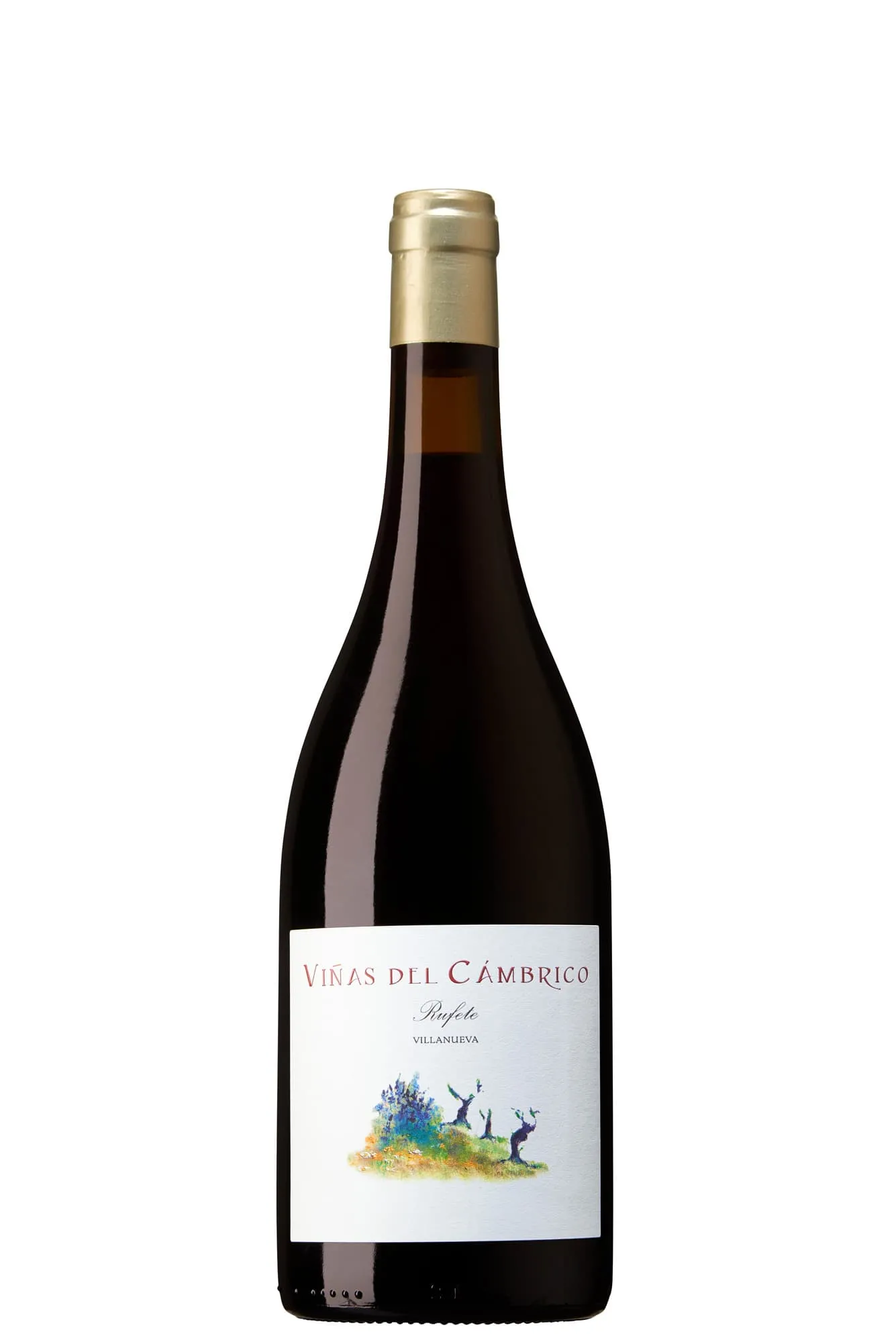 Viñas del Cámbrico, Villanueva 2019 Bio