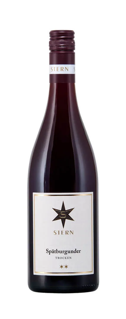 Weingut Stern - Spätburgunder trocken 2021