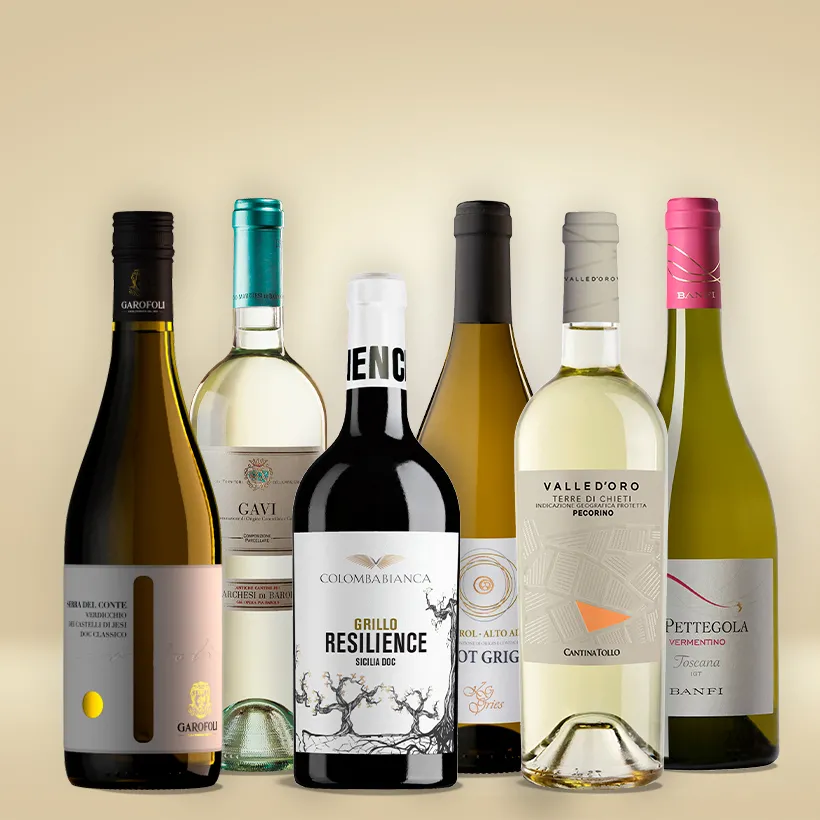 Weißwein-Expedition durch Italien