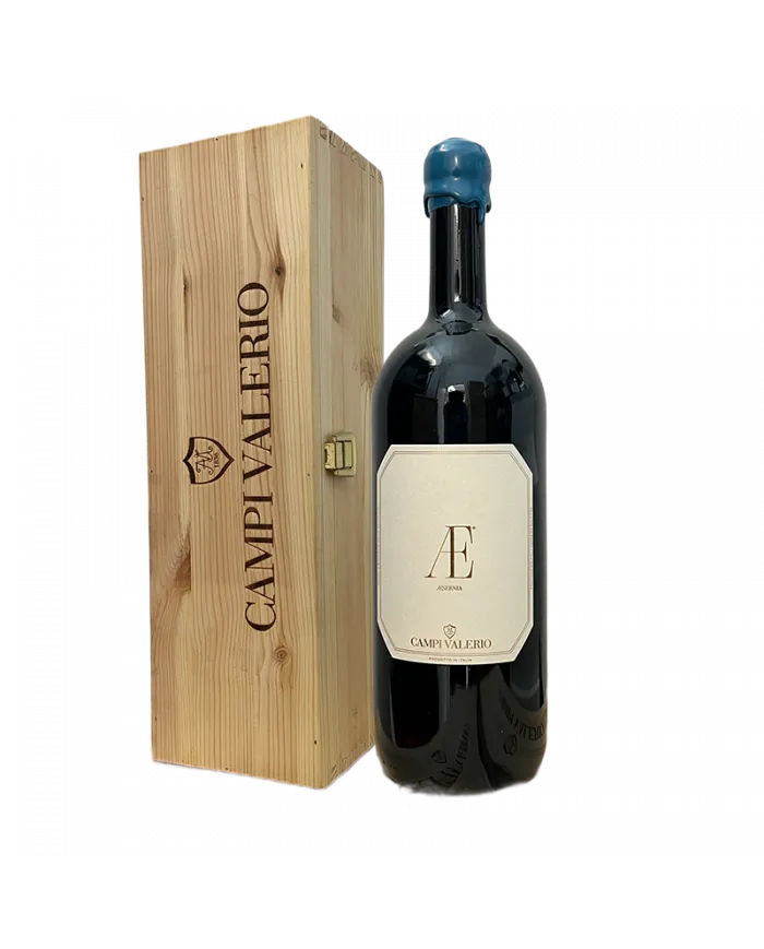AE Tintilia del Molise rosso DOC 2016 Magnum - Campi Valerio