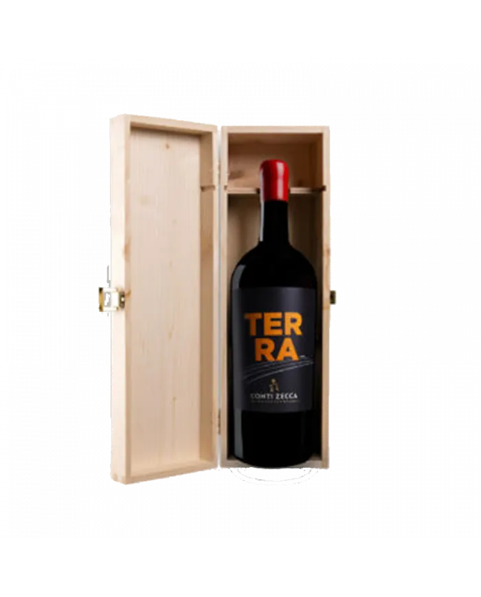 Aglianico Terra 2019 Magnum - Conti Zecca