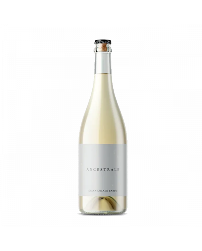 Ancestrale Bianco Frizzante - Giannicola Di Carlo - Vigna Madre