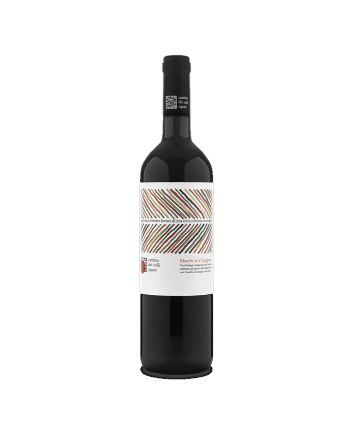 BIO Marche IGT Sangiovese 2020 - Cantina Dei Colli Ripani