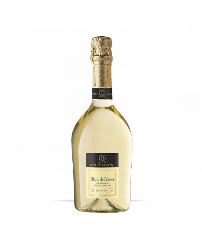 Blanc de Blancs Extra Dry Millesimato 2023 - Colle dei Pini