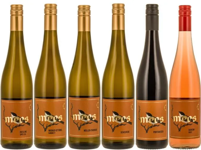 "BON VOYAGE" SOMMERWEIN lieblich & fruchtig-süß | Probierpaket | 6 x 750ml