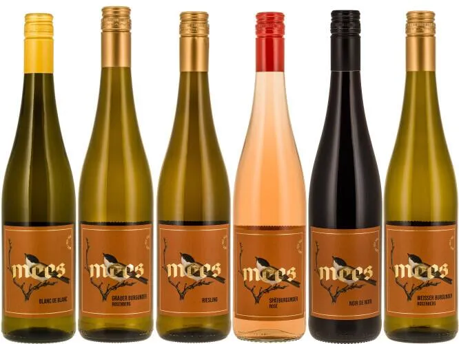 "BON VOYAGE" SOMMERWEIN trocken | Probierpaket | 6 x 750ml