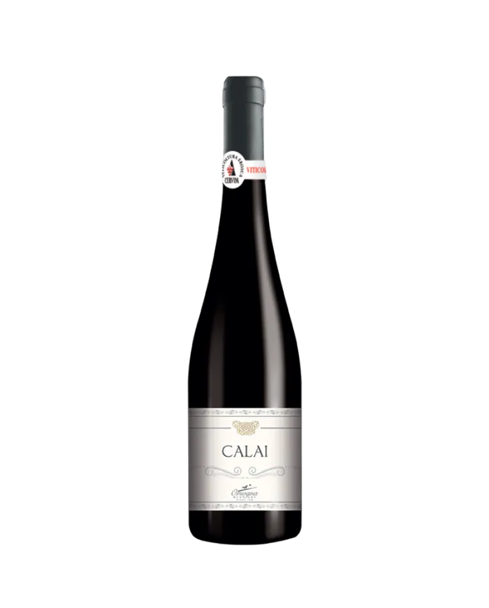 Calai Pecorino Terre di Chieti IGP 2015 - Cantina Orsogna