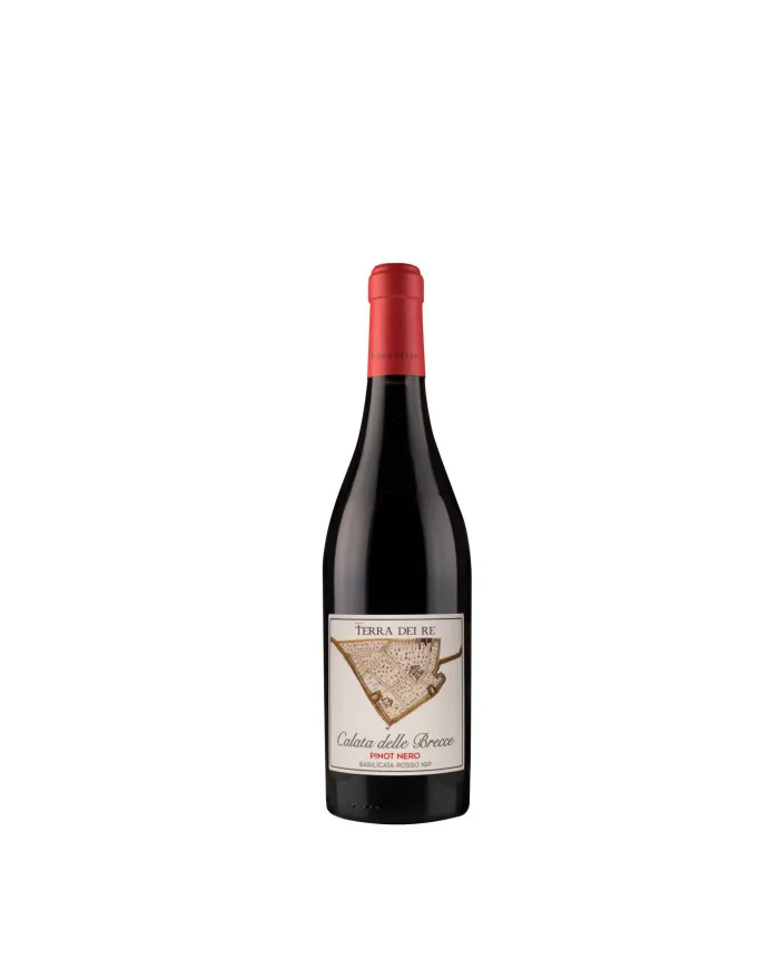 Calata Delle Brecce Pinot Nero Igp 2017 - Terra dei Re