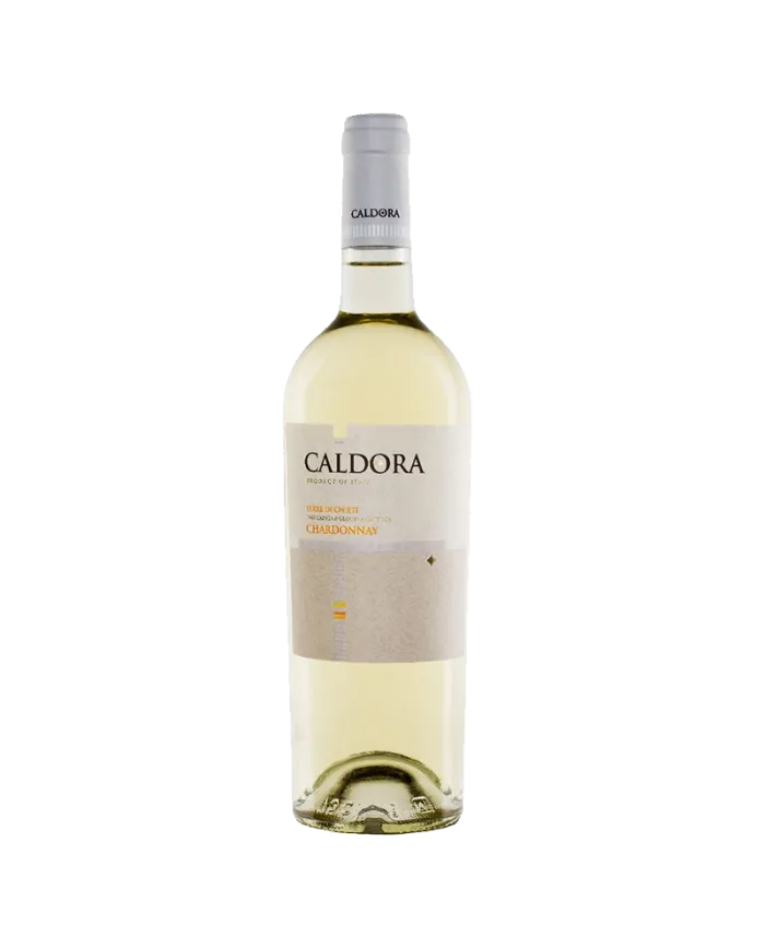 CALDORA Chardonnay IGT Terre Di Chieti 2022 - Caldora - Fantini Farnese