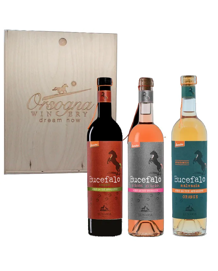 Cassetta Orsogna Winery: Lunaria Bucefalo Rosso - Malvasia Orange IGP - Pinot Grigio Passito IGP - Cantina Orsogna