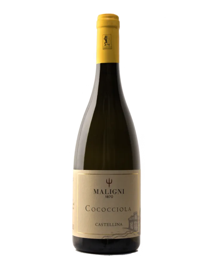 Castellina Cococciola I.G.T. Colline Teatine 2024 - Cantine Maligni