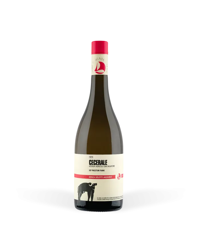 Cecerale Paestum Fiano IGP 2021 - San Salvatore 1988