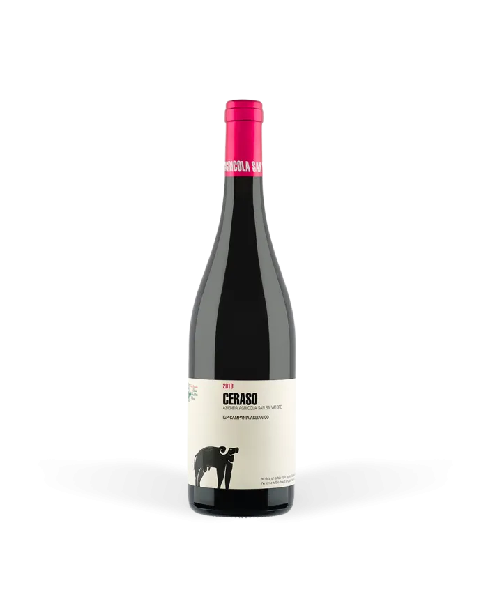 Ceraso Paestum Aglianico IGP 2023 - San Salvatore 1988