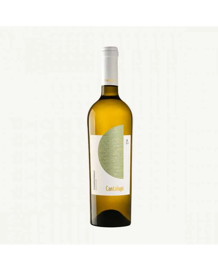 Cantalupi Chardonnay 2024 - Conti Zecca