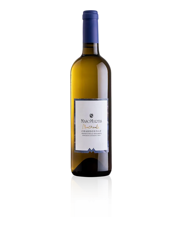 Chardonnay L’Incanto IGT Vigneti delle Dolomiti 2021 Bio - Maso Martis