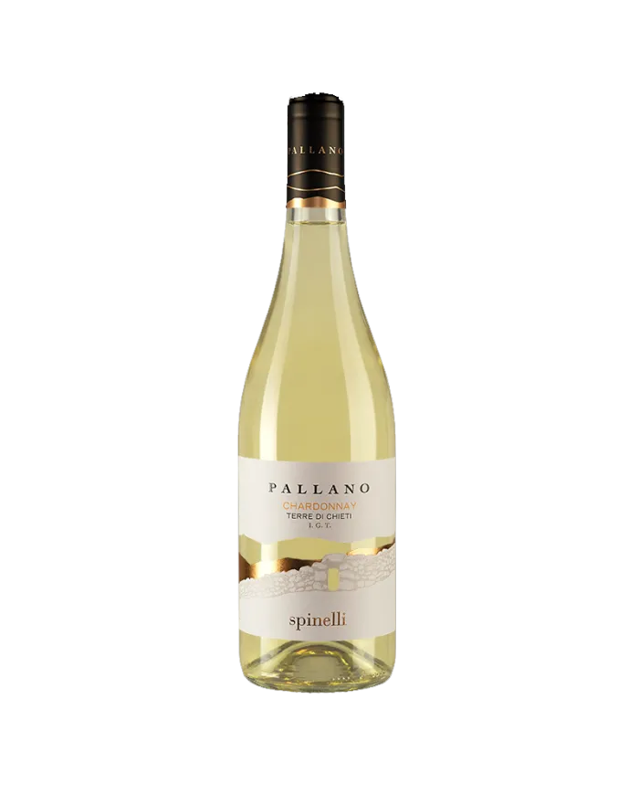 Chardonnay Terre di Chieti IGT 2023 Pallano - Spinelli