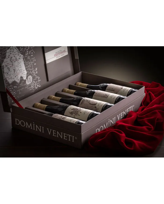 Cofanetto Amarone Espressioni 2016 ( 5 bottiglie ) - Domini Veneti
