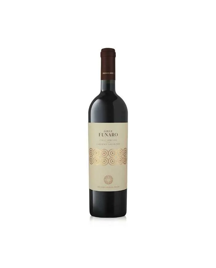Colle Funaro Colli Aprutini Cabernet IGT 2013 - Orlandi Contucci Ponno