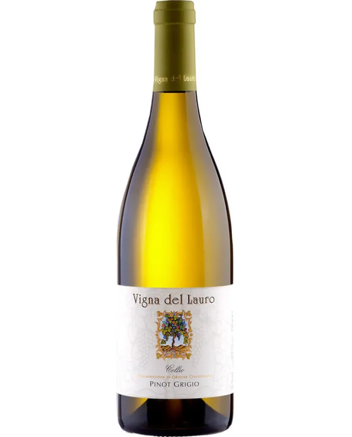 Collio Pinot Grigio DOC 2022 - Vigna del Lauro